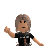@N4TPLAYSRBLX