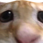 @Mega_Bot45
