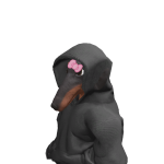 @R0NGPERSON