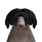 @HAZ_THEFISH