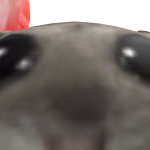 @EddieJD