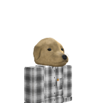 @anthonyvboy