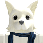 @cozmik_fox