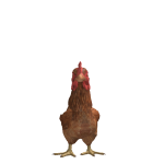 Sjongjonas351's avatar