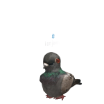 @toxxin_gamingyt