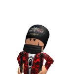 @ilittlemaxgamer