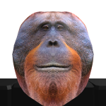 @gamerady2007