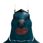 @Andson002