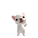@Anileve_0