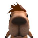 @nikko999999999