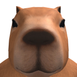 @KalleK6