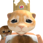 @billcatman