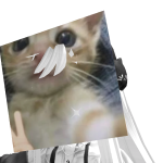@badcatchouchou