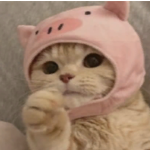 @afreeeeeeee