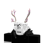 @fanfreddy123