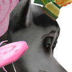 @aces_orange