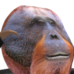 @FartyMcFartFace99