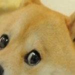 @Dead_PixelYTR2