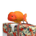 @NPC_sonoio