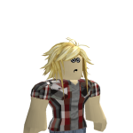 @Bloxman2672z
