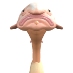 @Windere