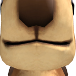 @narwhals_awesome13