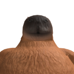 @Nooldesthink