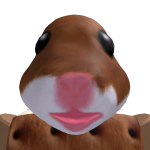 @Hunterrrr_1209