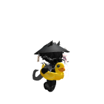 @ipadprocool2