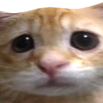 KadirGCL