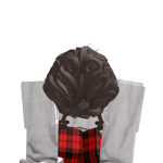 @Adimier