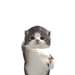@OnlyOwenYT
