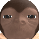 @mrflimflam9023