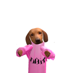 @TheGreatKingLKST
