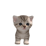 @roblox_studiodev8