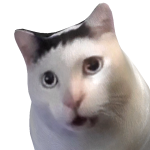 @WarriorCatF6