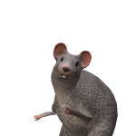 @schris22