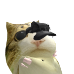 wdsqcf