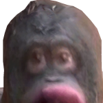 @FaZeuin