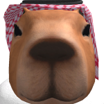 @VEMP33S