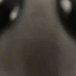 @snchstr