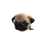 @toccabocca_123