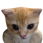 @bannchome2