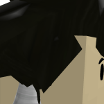 @HolyPopeofRoblox