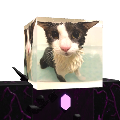 RLkx_x