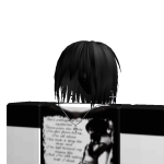 @FallenStarT1