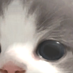 @jddjfdlfj