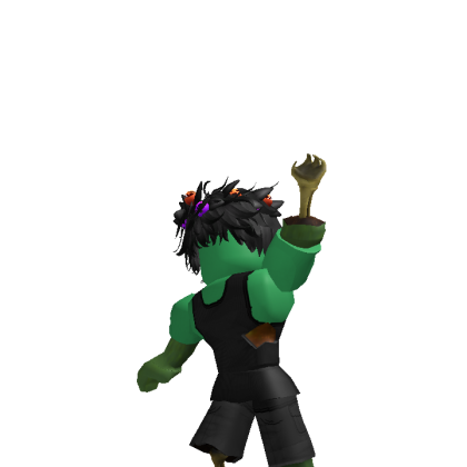 LOLplaysrobloxpayer1
