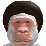 @connbobo