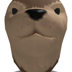 @Idontknowmynameacc